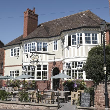 The Hare